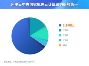 超50%  阿里云中央国家机关云计算采购份额第一